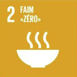 ODD2 Lutte contre la faim